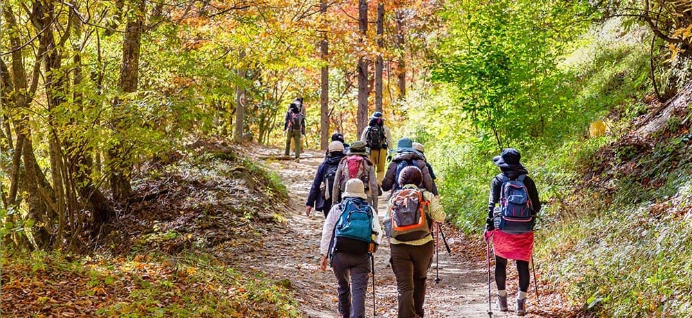 登山の写真