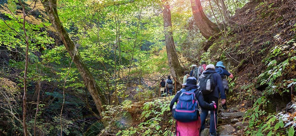 登山をする人たちの写真