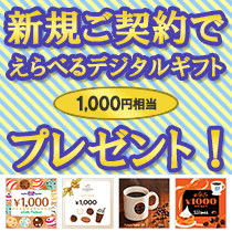 イーデザイン損保キャンペーン 新規ご契約でえらべるデジタルギフト1,000円相当プレゼント!