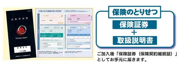 保険のとりせつ イメージ図