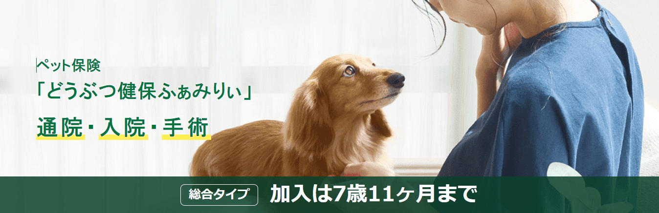 ペット保険「どうぶつ健保ふぁみりぃ」通院・入院・手術 総合タイプ 加入は7歳11か月まで