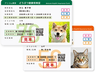 アニコム損保 どうぶつ健康保険証サンプルイメージ