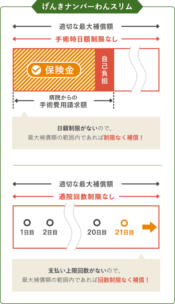 げんきナンバーわんスリム｜日額と補償回数