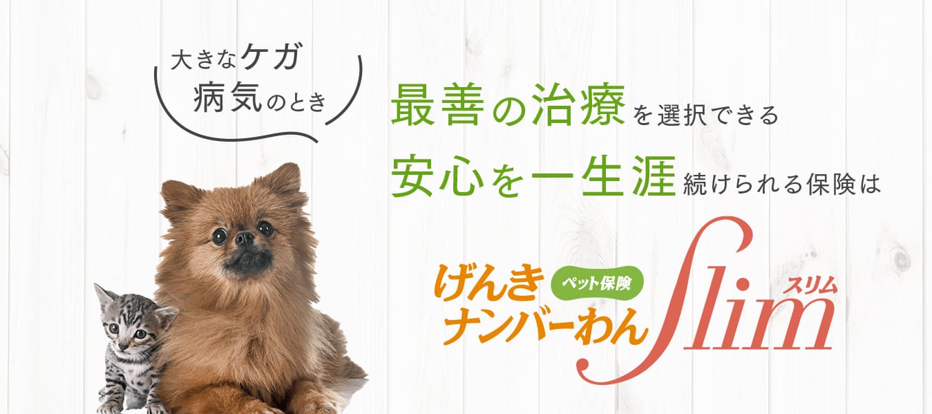 大きなケガ・病気のとき、最善の治療を選択できる、安心を一生涯続けられる保険はげんきナンバーわんスリム