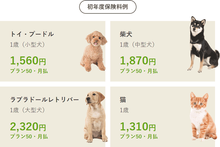 険料例｜トイ・プードル 1歳（小型犬） 1,560円 プラン50・月払、柴犬 1歳（中型犬） 1,870円 プラン50・月払、ラブラドールレトリバー 1歳（大型犬） 2,320円 プラン50・月払、猫 1歳 1,310円 プラン50・月払