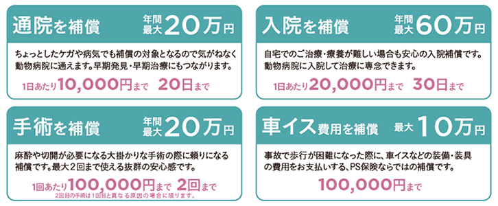 通院補償は年間最大20万円　入院補償は年間最大60万円　手術補償は年間最大20万円　車イス費用補償は最大10万円