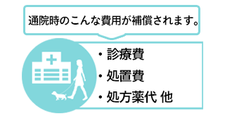 通院時のこんな費用が補償されます。　診療費、処置費、処方薬代 他