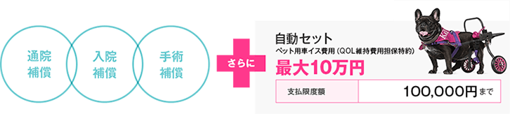 通院補償、入院補償、手術補償さらに自動セット ペット用車イス費用（QOL維持費用担保特約）最大10万円